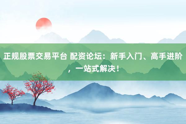 正规股票交易平台 配资论坛：新手入门、高手进阶，一站式解决！