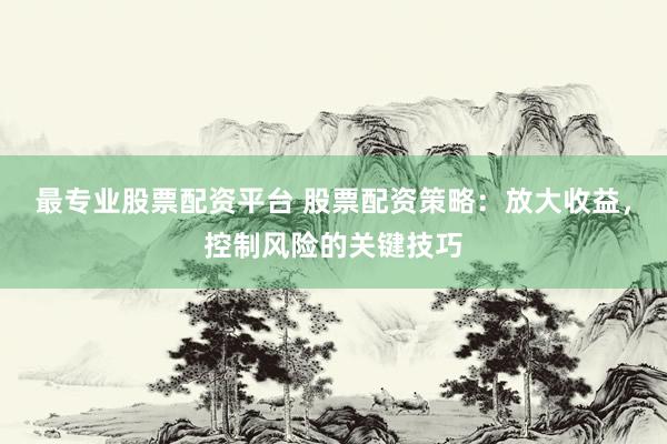 最专业股票配资平台 股票配资策略：放大收益，控制风险的关键技巧