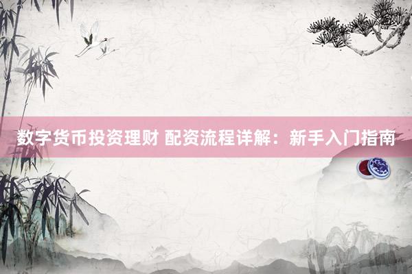数字货币投资理财 配资流程详解：新手入门指南