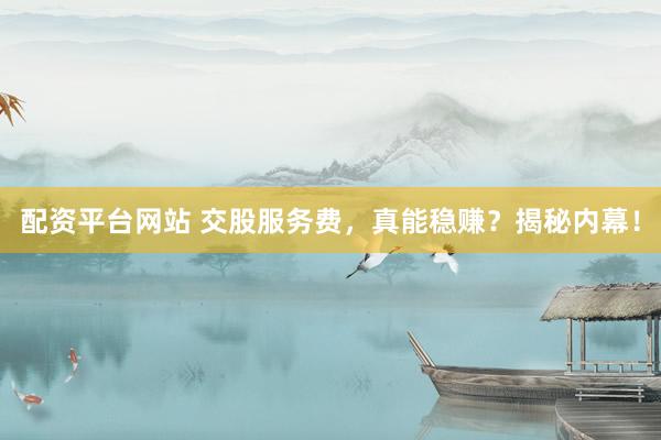 配资平台网站 交股服务费，真能稳赚？揭秘内幕！