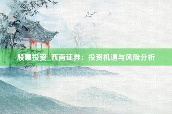 股票投资  西南证券：投资机遇与风险分析