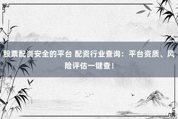 股票配资安全的平台 配资行业查询：平台资质、风险评估一键查！